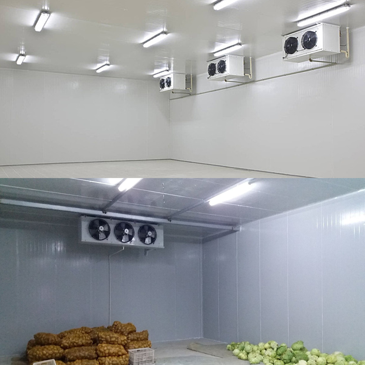 Cold Storage Room